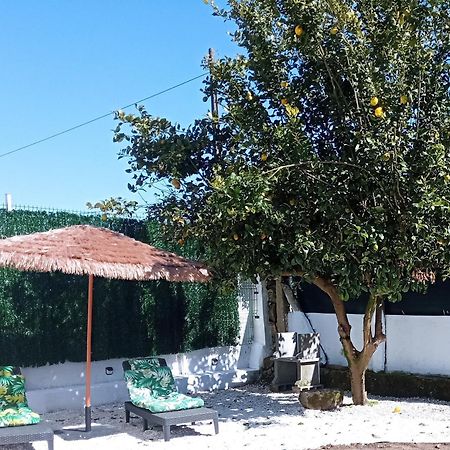 فيلا Casa Amelia 1ªp A 50 M Camino De Santiago Padrón المظهر الخارجي الصورة