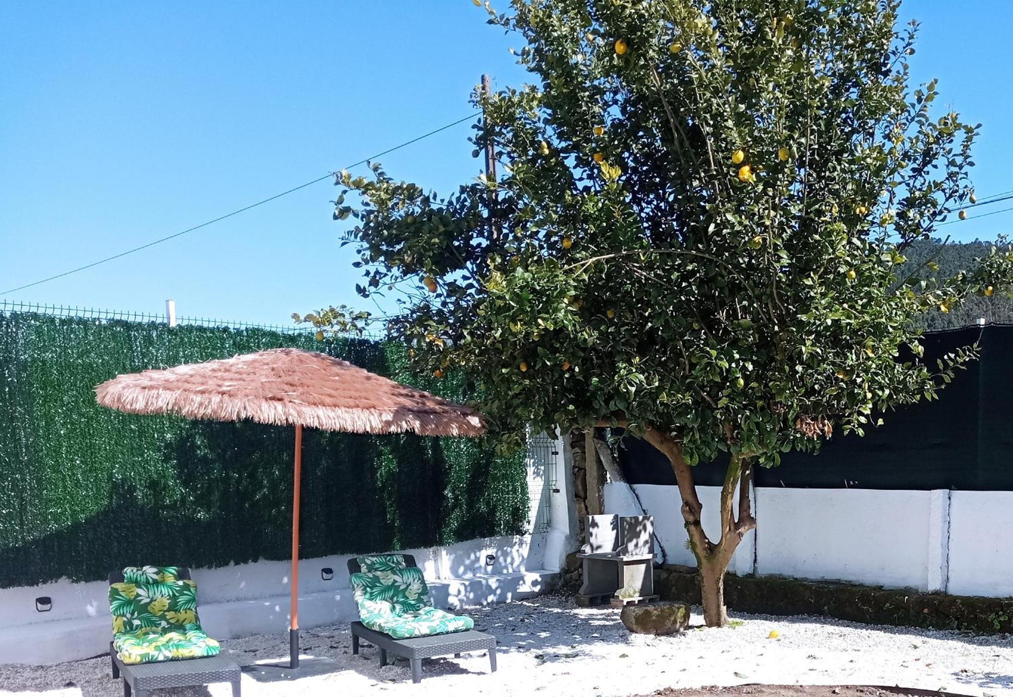 فيلا Casa Amelia 1ªp A 50 M Camino De Santiago Padrón المظهر الخارجي الصورة